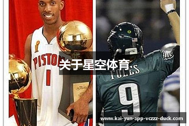 关于星空体育